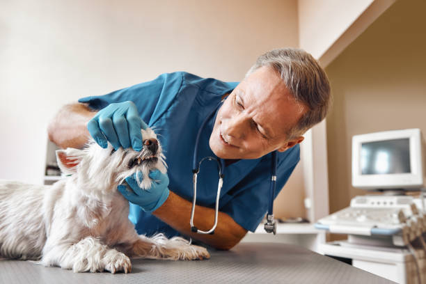 Best Broken or Cracked Tooth Emergency Dentist in Hazlehurst, MS